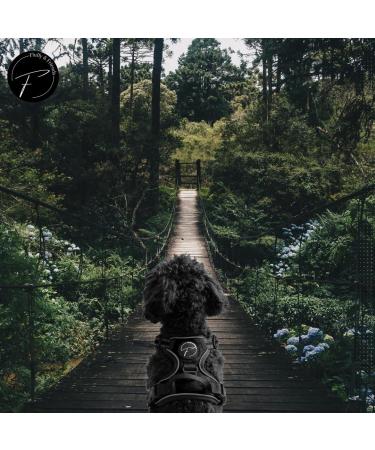 Reflective Dog Harness for Small & Medium Dogs - Nylon Breathable Mesh Anti-Train Design for Puppies - Size S (Black) - Buy Online on SooperMarket.com