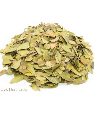 Uva Ursi Leaf and Iron Goddess Oolong Tea Herbal Infusion (25 Unbleached Tea Bags - 50g) - Buy Online on SooperMarket.com