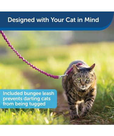 PetSafe Come with Me Kitty Harness & Bungee Leash - Dusty Rose/Burgundy - Perfect Fit for Small Cats - International Shipping Available - Buy Online on SooperMarket.com