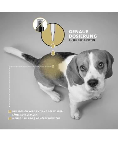 Peticare Tick Protection for Medium Dogs | Plant-Based Spot-On | Waterproof Formula | Protects Against Ticks & Mites | Long-Lasting PRS System - Petdog Protect 2161 (100 ml) - Buy Online on SooperMarket.com