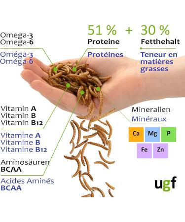 UGF Premium Dried Mealworms 250g | Insect Snacks for Birds Hamsters Hedgehogs Rodents Lizards & Turtles - No Preservatives or Dyes - Buy Online on SooperMarket.com