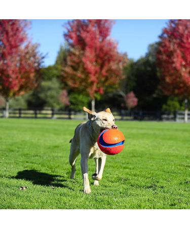 Chuckit! Large Regular Glow Ball - Bright and Durable Fetch Toy - Buy Online on SooperMarket.com