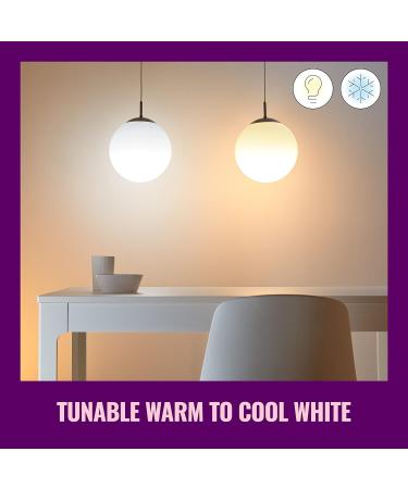 WiZ Connected Tunable White A19 Smart WiFi Light Bulb Dimmable 2700K - 6500K Smart Control with WiZ App Compatible with Alexa Google Assistant and Siri Shortcuts No Hub Required 1 Bulb A19 Tunable White 1 Count (Pack of 1) - Buy Online on SooperMarket.com