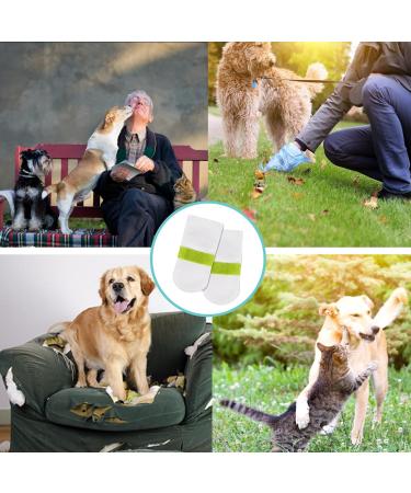 20 PCS Dog Shoes Dog Boots for Injured Paws Waterproof Dog Socks Outdoor Dog Rain Boots Waterproof and Dustproof Pet Dog Shoe Covers Dog Socks Paws Stop Licking for Dog Cat Pets(M) - Buy Online on SooperMarket.com