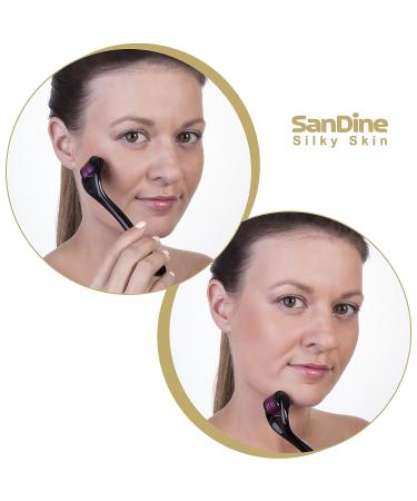 Sandine Microneedle Derma Roller - 540 Titanium Micro Needle Skin Care System (0.3mm) | Promotes Youthful & Radiant Skin | Includes FREE E-Book - Buy Online on SooperMarket.com