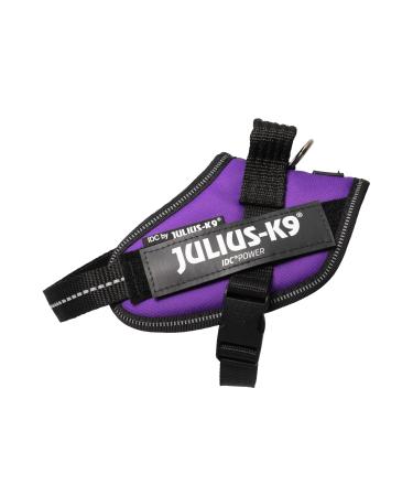 Julius-K9 IDC Powerharness Size: XS/Mini-Mini Dark Purple XS/Mini-Mini