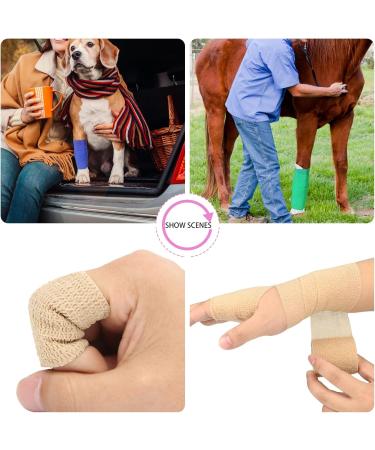 12 Roles Self-Adhesive Bandage | Cohesive Elastic Bandages for First Aid & Pet Care - 5cm x 4.5m | 12PCs - Buy Online on SooperMarket.com