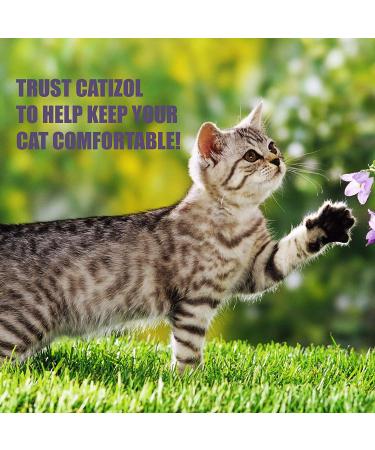 AMBER NATURALZ Catizol 1oz - Comfort & Relief for Cats - Natural Solution - Buy Online on SooperMarket.com