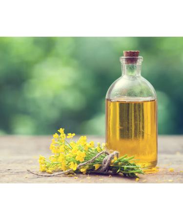 Mynatura Organic Cold-Pressed Rapeseed Oil - 6x500ml | Premium Cooking & Vegetable Oil - Buy Online on SooperMarket.com