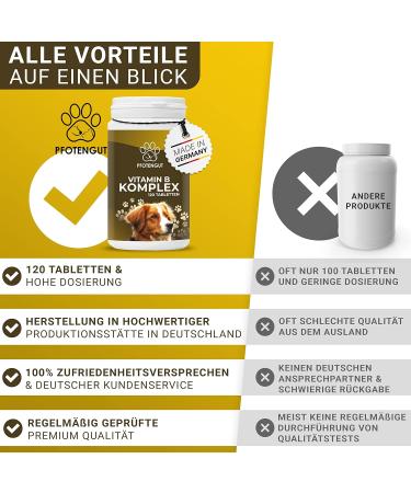 Pfotengut Vitamin B Complex for Dogs & Cats - 120 Tablets Made in Germany High-Dose B Vitamins for Optimal Health - Supports Energy & Vitality - Buy Online on SooperMarket.com