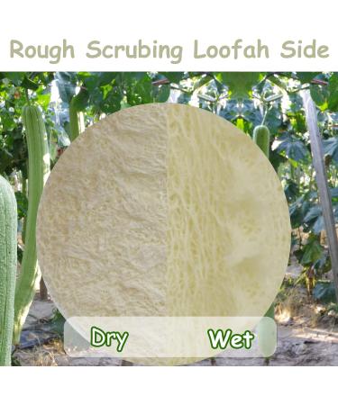 15 Pack Mini Exfoliating Loofah Face Pads - Eco-Friendly Shower Scrubber & Makeup Cleanser - Buy Online on SooperMarket.com