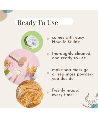 Mecantu Raw Sea Moss (Irish Sea Moss) - Ethically Sourced & Eco-Friendly | Create Healthy Vegan Food Drinks Sea Moss Gel and Sea Moss Powder | 2+ Months Supply (100g) main - Buy Online on SooperMarket.com