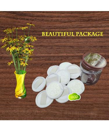 Sportout Exfoliating Loofah Face Brush Cleanser 10-Pack | Natural Facial Cleansing Scrubber for Men and Women - Buy Online on SooperMarket.com