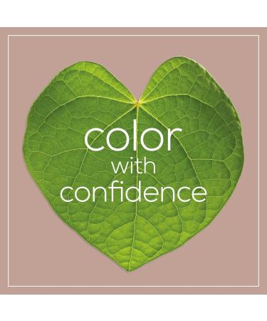 Naturtint 7C Terracotta Blonde Permanent Hair Colorant - 4.5 oz | Vegan & Ammonia-Free | International Shipping Available - Buy Online on SooperMarket.com