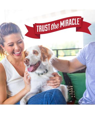 Nature's Miracle Stain & Odor Remover Oxy - 32oz Trigger 32oz (Trigger) For Dogs Nature's Miracle Stain & Odor Remover Oxy - 32oz Trigger - Buy Online on SooperMarket.com
