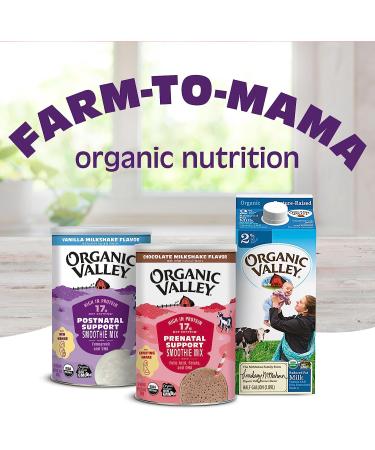 Organic Valley Postnatal Support Smoothie Mix, Vanilla 10 oz - Buy Online on SooperMarket.com