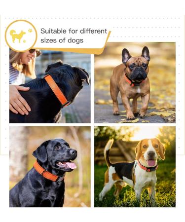 Heele Soft Padded Neoprene Dog Collar for Small & Medium Dogs | Adjustable Reflective Training Collar - Orange Longitudinal 34-52 cm (1 Pack) - Buy Online on SooperMarket.com