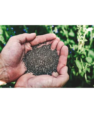 Heartland Chia  USA Grown Whole Raw Black Chia Seeds  12 oz | Sustainable  Non-GMO  Farm-direct - Buy Online on SooperMarket.com