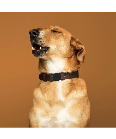 Vagocom 4 Pack Pet Collar Holder for Apple Airtag GPS Anti-Lost Silicone Tracker Case for Dog Cat Collar Holder Protective Case for Air Tag(Black) - Buy Online on SooperMarket.com