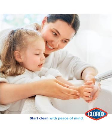 Clorox Liquid Hand Soap - 16 Fl Oz Pump Germ Eliminator Soft on Hands Tough on Dirt Strawberry Scented Hand Wash & Foam Soap - Buy Online on SooperMarket.com