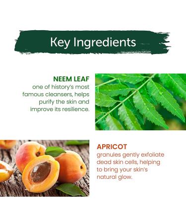 Himalaya Purifying Neem Scrub 5.07 oz - Deep Clean for Acne Reduction & Dead Skin Removal - Buy Online on SooperMarket.com