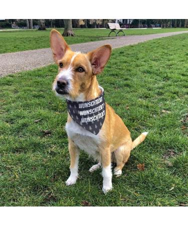 Dog Scarf with Custom Name | Printplanet Personalized Three-Line Text Scarf for Dogs - Size M - Buy Online on SooperMarket.com