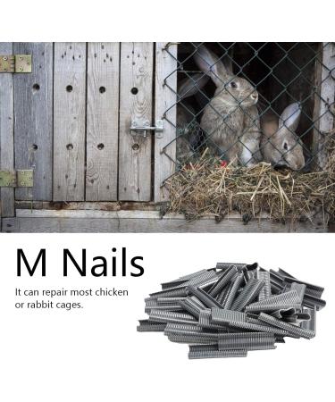 M Nails Durable Cage Staple Not Reusable Economical And Practical for Foxes Cages Home - Buy Online on SooperMarket.com