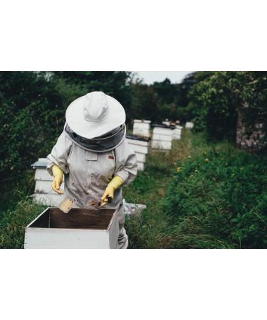 Pure Raw Honey with Pollen & Beeswax - 1kg Unheated & Natural | Premium Angel Root Honey - Buy Online on SooperMarket.com