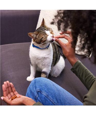 TEMPTATIONS Classic Crunchy and Soft Cat Treats Blissful Catnip - Multiple Sizes - 3oz (12 Pack) - Buy Online on SooperMarket.com