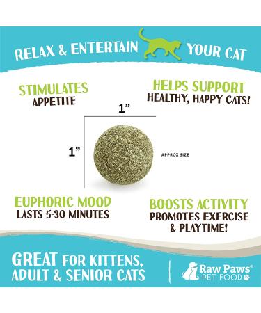 Raw Paws Compressed Catnip Ball Toy 6 Pack for Indoor Cats - All Natural Catnip Interactive Kicker Toy - Catnip Cat Toys for Kitties - Buy Online on SooperMarket.com
