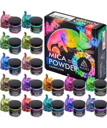 Chameleon Mica Powder - Epoxy Resin Color Pigment 16 Colors Set - Holographic Multicolor Mica Powder - Buy Online on SooperMarket.com