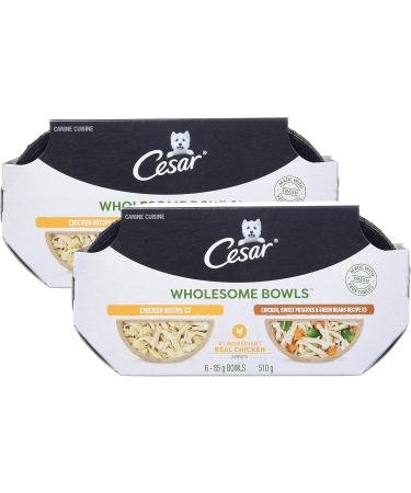 CESAR Wholesome Bowls Wet Dog Food - Chicken - Chicken Sweet Potato & Green Beans 6x85g Variety Pack Chicken - Chicken Sweet Potato & Green Beans 85 g (Pack of 6) - Buy Online on SooperMarket.com