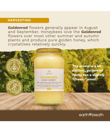 Earthbreath Goldenrod Raw Honey - 1.4kg - Pure Honey Unpasteurized Unfiltered Unprocessed - From Single Apiary - Natural Sweetener for Food Cooking Coffee Tea Drinks 1.40 kg (Pack of 1) - Buy Online on SooperMarket.com