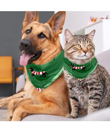Stylish Dachshund Motif Dog Handkerchiefs - Triangular Scarf Bibs for Small to Large Pets | 2-Piece Multi-Colored Set - Buy Online on SooperMarket.com