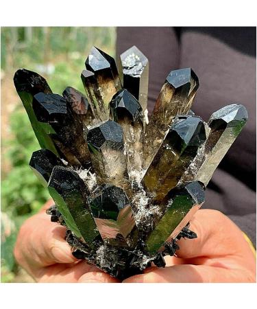 Natural Crystal Rough Crystals 1pc Black Phantom Quartz Crystal Cluster (Size : 900-1000g) - Buy Online on SooperMarket.com