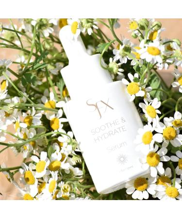 SunFX Sunless Spray Tanning Additive | Soothe & Hydrate with Antioxidants | 1 fl oz - Premium Tanning Solution - Buy Online on SooperMarket.com