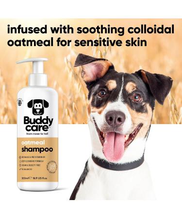 BuddyCare Oatmeal Dog Shampoo for Irritated Skin | Soothing & Moisturizing with Aloe Vera & Pro-Vitamin B5 - 500ml - Buy Online on SooperMarket.com