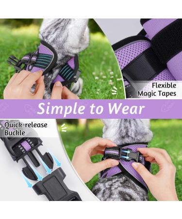 Rabbitgoo Cat Dishes Set - Stylish Cat Linen with Leash | Perfect for Cats | International Shipping - Buy Online on SooperMarket.com