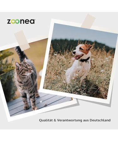 Zoonea Cistus 250g - Immune & Respiratory Booster for Dogs & Cats | 100% Pure Cistus Herb for 500 Days - Buy Online on SooperMarket.com