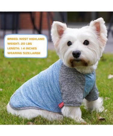 KYEESE 2 Pack Dog Shirts | Quick Dry Raglan Sleeve | Soft & Stretchy | Lightweight Dog Clothes | Reflective Label | 21 Chest | Small to Medium Dogs | Blue & Grey | 2 Pack - Buy Online on SooperMarket.com