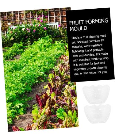 SUPVOX Cucumber Shaping Mold 2pcs Fruit Mold Accessories Growing Shaping Pear Ingot Ingot-Shaped Vegetable Molds Garden Yard - Buy Online on SooperMarket.com