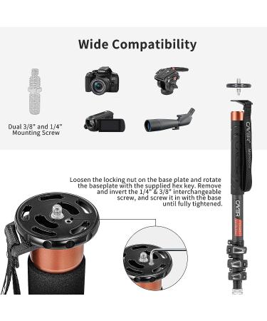 Cayer CF34 Carbon Fiber 71 Video Monopod Kit with Fluid Head and Folding Base - DSLR & Camcorder Telescopic Monopod Set - Buy Online on SooperMarket.com