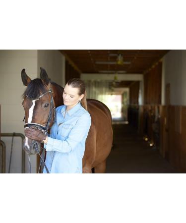 100% Pure Stone-ground Milk Thistle for Horses 1kg - Equine Detoxification immune support and liver health - Buy Online on SooperMarket.com