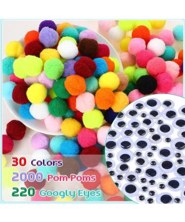 2000 Pcs 1 Inch Assorted Pom Poms with 220 Self Adhesive Googly Eyes - Multi Colors for DIY Crafts - Buy Online on SooperMarket.com