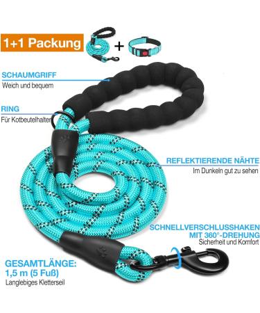 Haapaw Reflecting Dog Collar - Padded Neoprene Breathable Nylon for Small & Medium Dogs - Turquoise - Durable & Comfortable (1-Pack) - Buy Online on SooperMarket.com