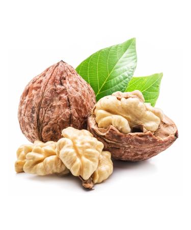 Quast Horseradish Grenoble Walnuts PDO | French Walnuts 32+ (800) 800.0 grams