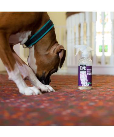 Better Life Natural Stain & Odor Eliminator - 16 oz | Eco-Friendly Cleaning Solution - Buy Online on SooperMarket.com