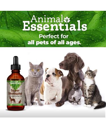 Animal Essentials Super Immune Support for Dogs & Cats - 1 fl oz | Promotes Healthy Immune System - Ol Complex - 2 fl oz - Buy Online on SooperMarket.com
