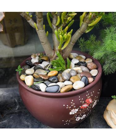Hisredsun 2.1 lb Natural Polished Pebbles - 0.4-1 inch Decorative Stones for Garden, Aquarium and Vase Fillers - 0.95kg Multi-Use River Rocks - Buy Online on SooperMarket.com
