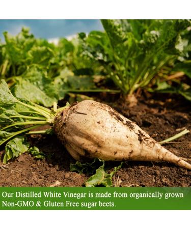 De La Rosa Organic Distilled White Vinegar 32oz - Raw & Unfiltered | Vegan, Gluten-Free, Kosher | Perfect for Salads, Dressings, Marinades | 32 Fl Oz - Buy Online on SooperMarket.com